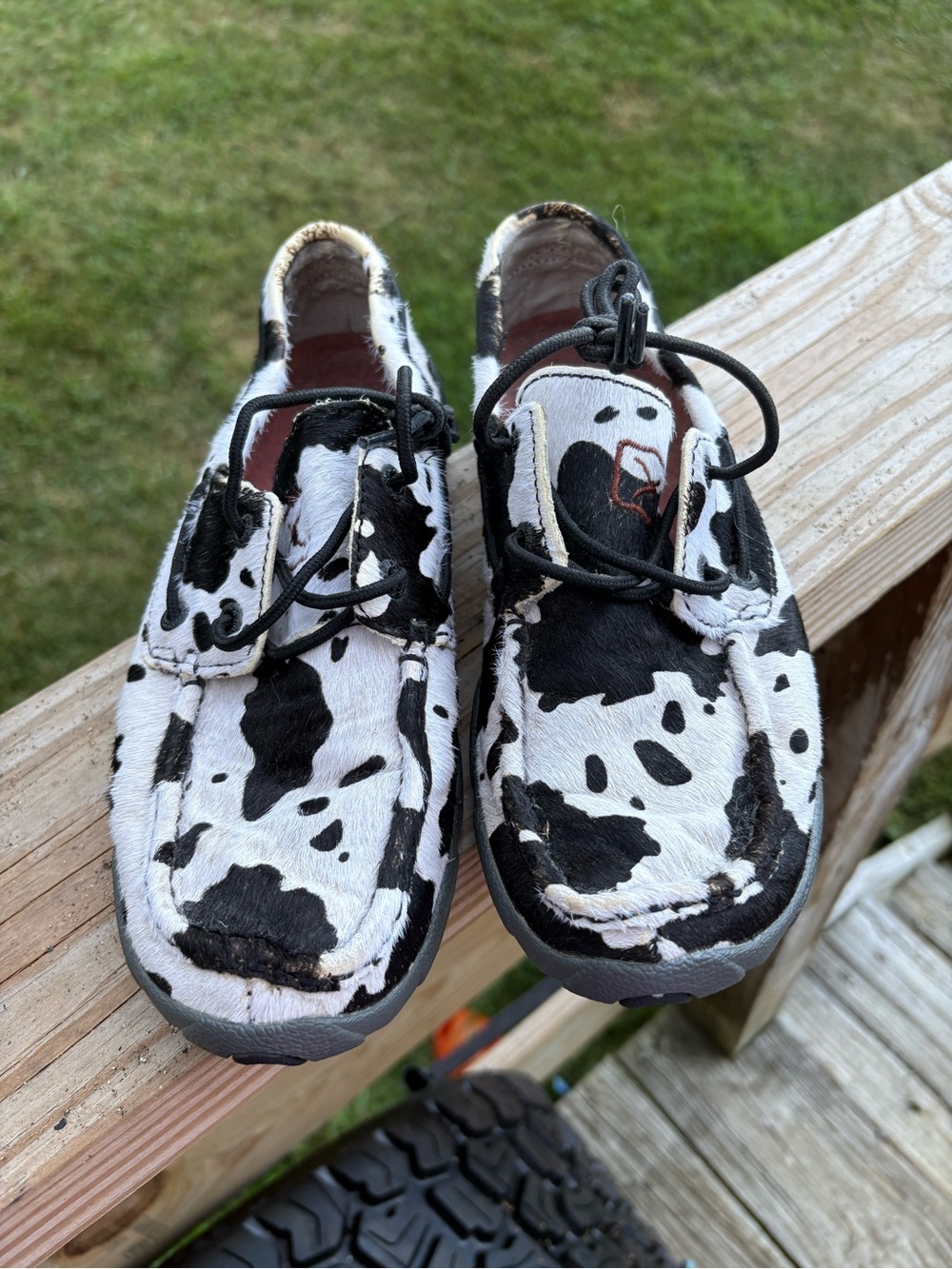 Cow-Print Twisted X Casual Shoes - Black & White